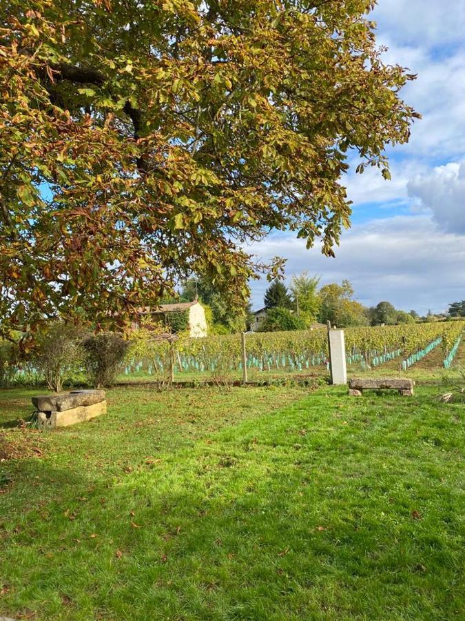 Le Jardin Dans Les Vignes Bed & Breakfast Barsac  Exterior photo