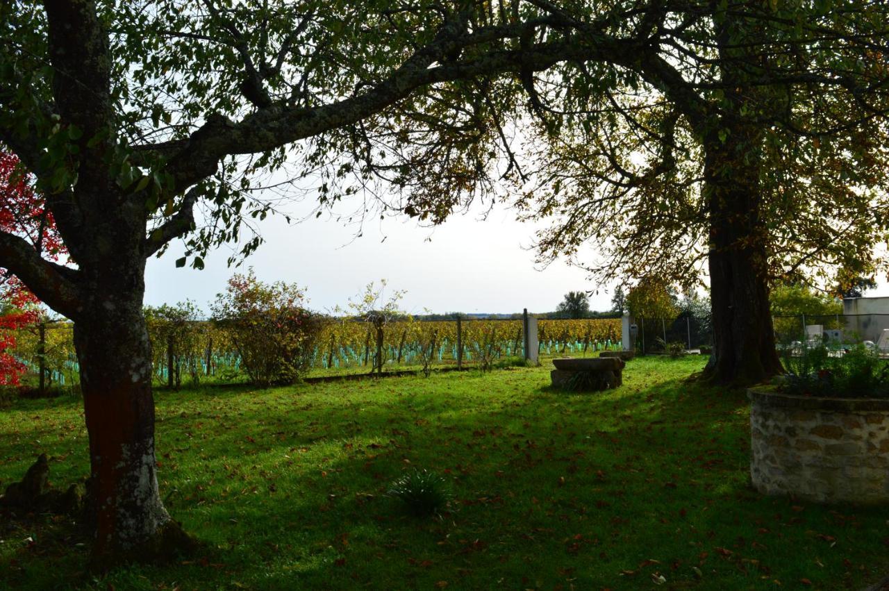 Le Jardin Dans Les Vignes Bed & Breakfast Barsac  Exterior photo