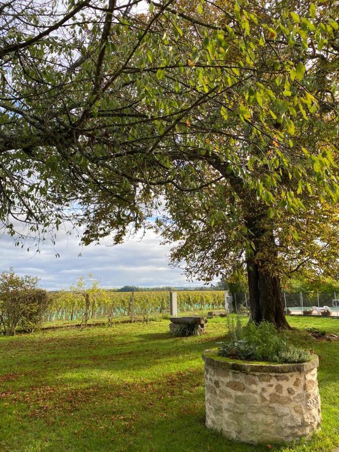 Le Jardin Dans Les Vignes Bed & Breakfast Barsac  Exterior photo