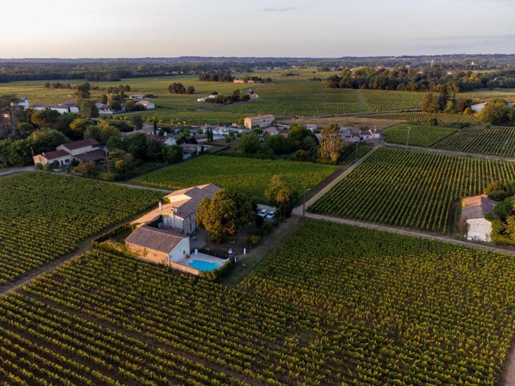 Le Jardin Dans Les Vignes Bed & Breakfast Barsac  Exterior photo