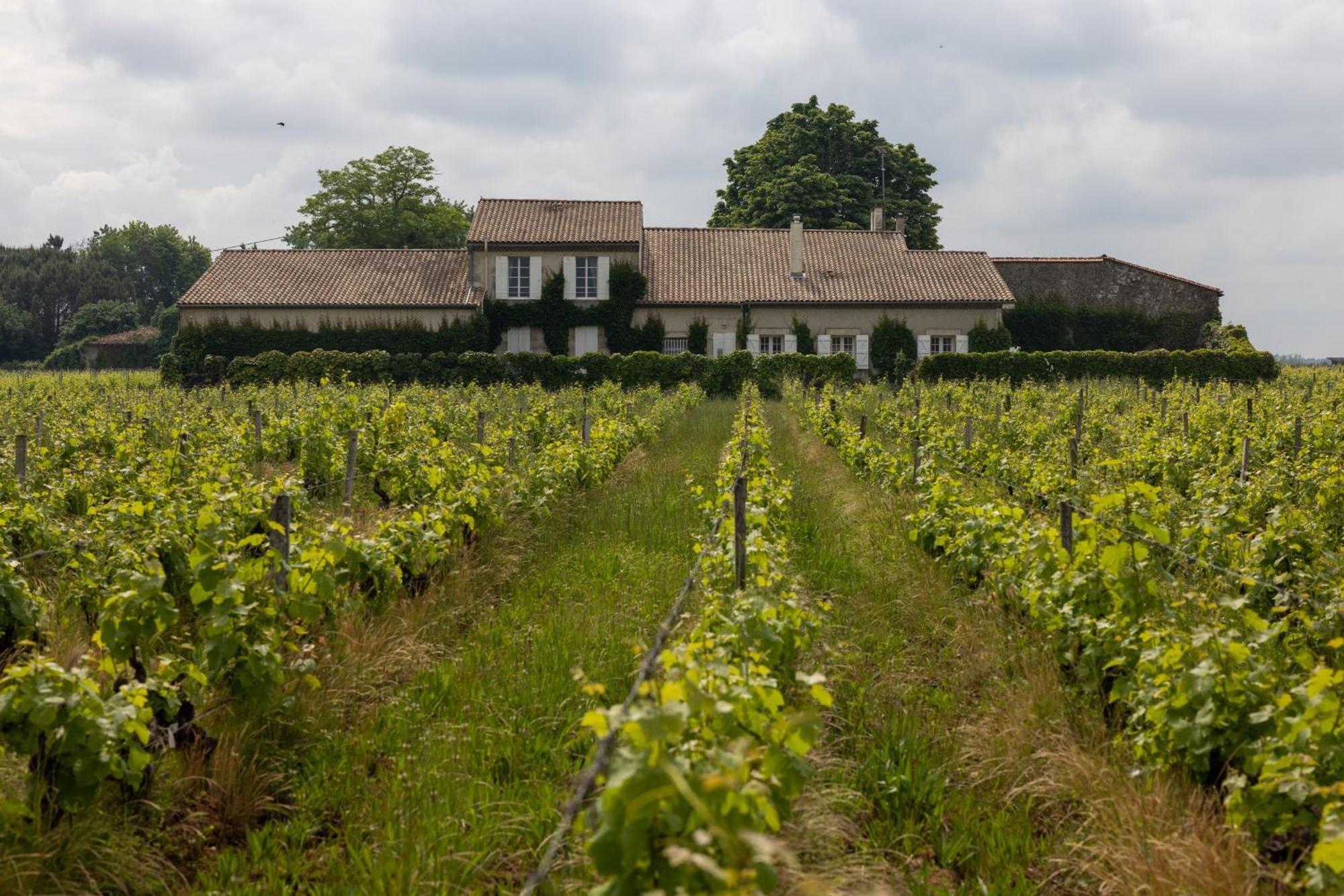 Le Jardin Dans Les Vignes Bed & Breakfast Barsac  Exterior photo